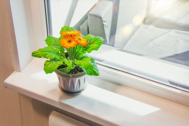 Fensterbank Unterschiede für Innenfensterbank und Aussenfensterbank