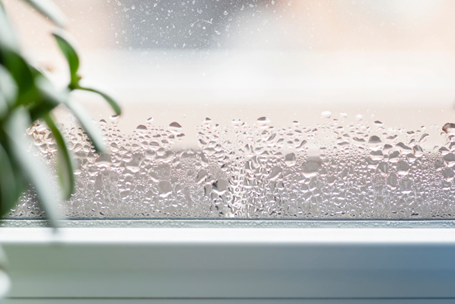 Fensterscheibe mit Kondenswasser an der Innenseite