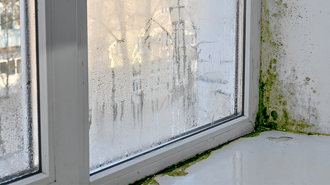 Fensternische mit Schimmelflecken an und um das Fenster herum