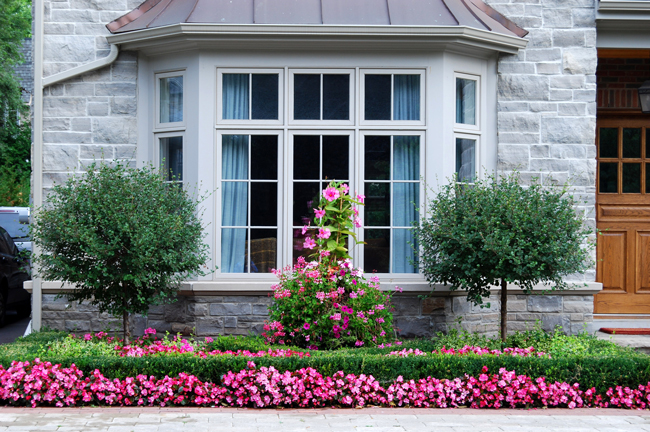 Weiße Erkerfenster mit Sprossen und Oberlichtern in silvoller Fassade mit Blumen davor