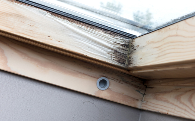 Schimmel am Dachfenster aus Holz durch Kondenswasserbildung