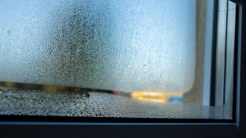 Fensterglas im Zwischenraum beschlagen und Blind