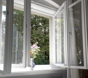 Fenêtre à caisson blanche ouverte avec vase de fleurs